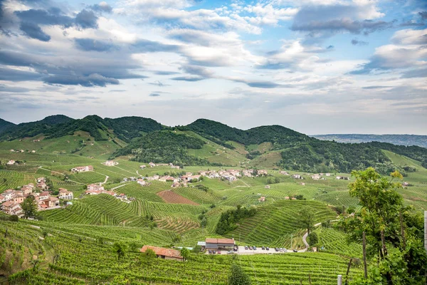 Festői Dombok Szőlő Valdobbiadene Olaszország Prosecco Pezsgő Régió — Stock Fotó