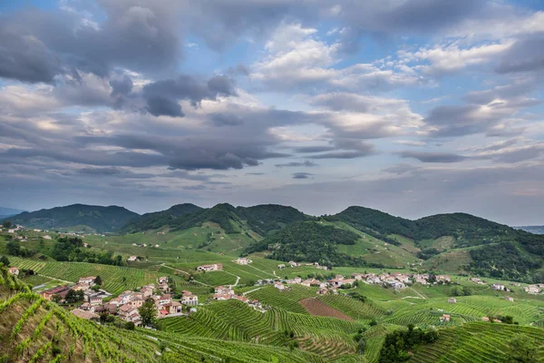 Valdobbiadene - İtalya Prosecco köpüklü şarap bölgesi üzüm bağları ile pitoresk tepeler.