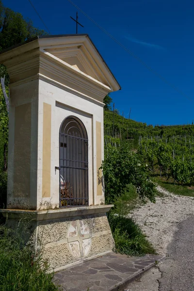 风景如画的丘陵与葡萄园的普罗塞克波光粼粼的葡萄酒地区在科内利亚诺瓦尔多比亚德尼 意大利 — 图库照片