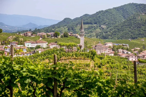 Colinas Pitorescas Com Vinhas Região Vinícola Espumante Prosecco Valdobbiadene Itália — Fotografia de Stock