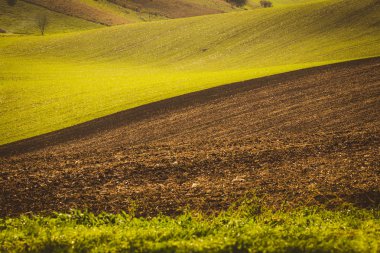 Sonbahar dalgalı alanları