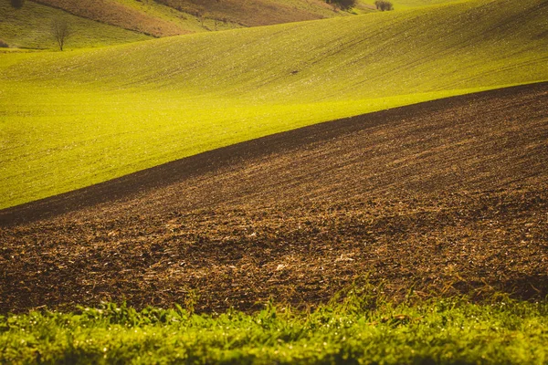 Champs ondulés d'automne — Photo