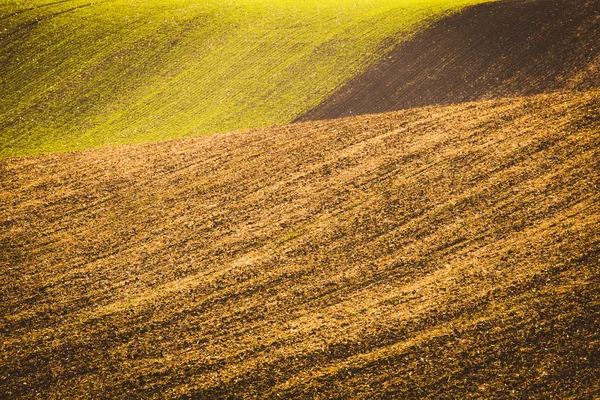 Podzimní vlnité pole — Stock fotografie