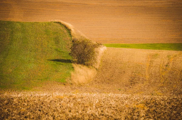 Campos ondulados de otoño en Moravia Toscana, República Checa —  Fotos de Stock