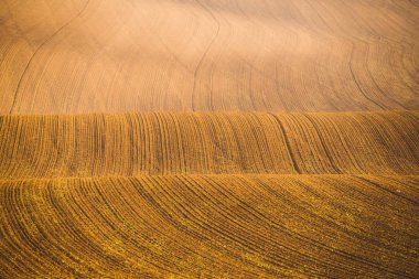 Dalgalı sonbahar alanları Moravyalı Toskana, Çek Cumhuriyeti