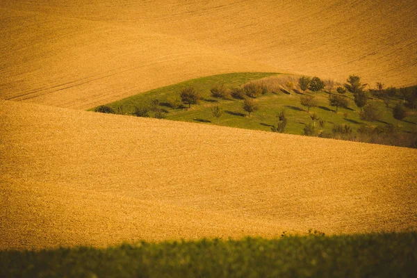 Campos ondulados de outono na Toscana da Morávia, República Checa — Fotografia de Stock