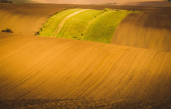 Campos ondulados de outono na Toscana da Morávia, República Checa — Fotografia de Stock