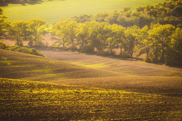 Campos ondulados de outono na Toscana da Morávia, República Checa — Fotografia de Stock