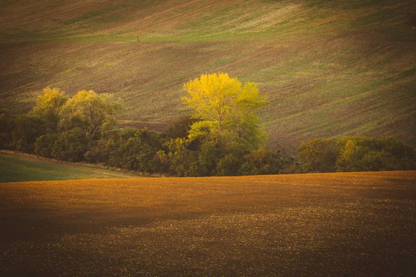 Pôr do sol no campo outono — Fotografia de Stock