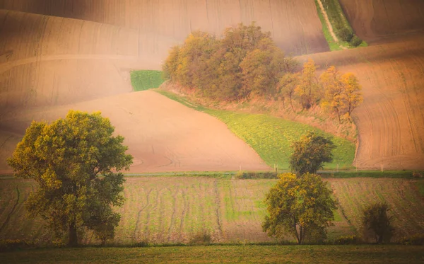 Hullámos őszi mezők Morva Toszkánában, Cseh Köztársaság — Stock Fotó