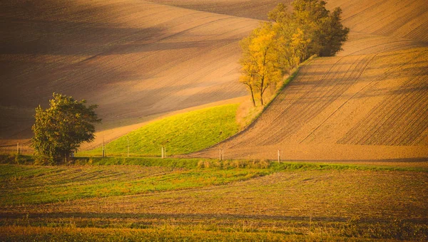Campos ondulados de outono na Toscana da Morávia, República Checa — Fotografia de Stock