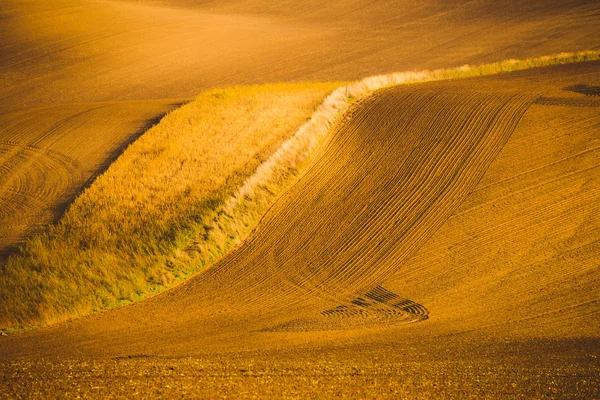 Dalgalı sonbahar alanları Moravyalı Toskana, Çek Cumhuriyeti — Stok fotoğraf