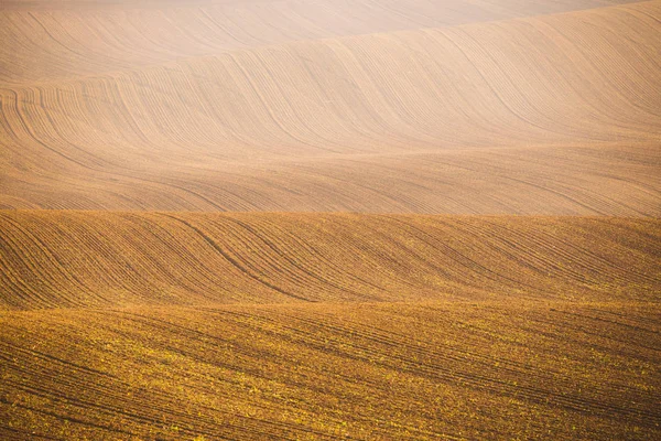 Champs d'automne ondulés en Toscane morave, République tchèque — Photo