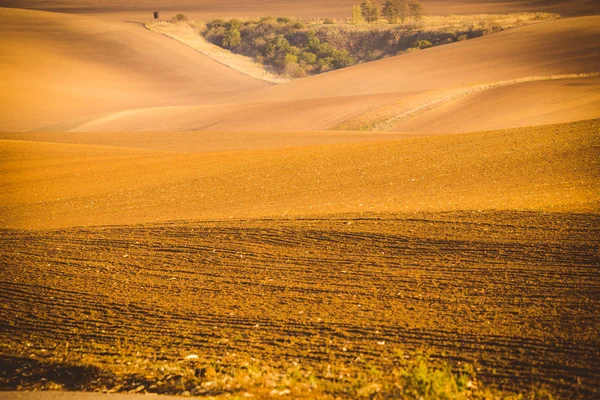 Campos ondulados de outono na Toscana da Morávia, República Checa — Fotografia de Stock