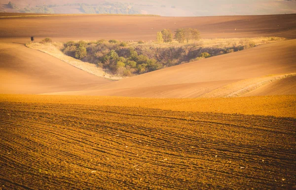 Campos ondulados de otoño en Moravia Toscana, República Checa — Foto de Stock