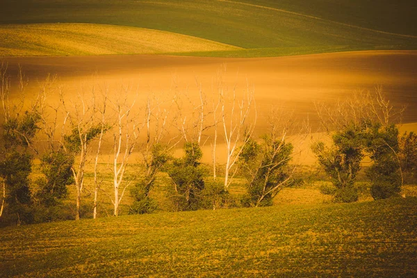 Campos ondulados de outono na Toscana da Morávia, República Checa — Fotografia de Stock