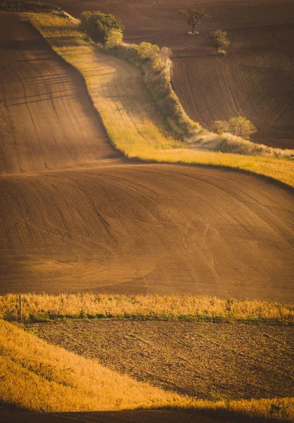 Champs d'automne ondulés en Toscane morave, République tchèque — Photo