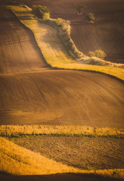 Campi ondulati in Moravia Toscana, Repubblica Ceca — Foto Stock