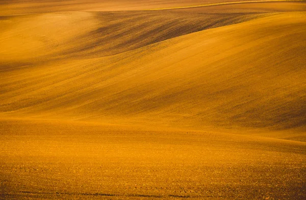 Vågig hösten fält i mähriska Toscana, Tjeckien — Stockfoto