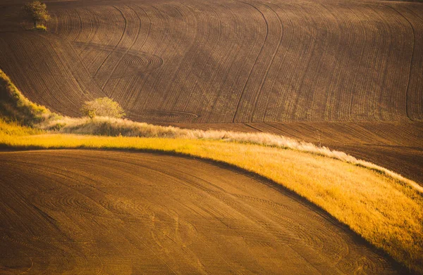 Campos ondulados de outono na Toscana da Morávia, República Checa — Fotografia de Stock