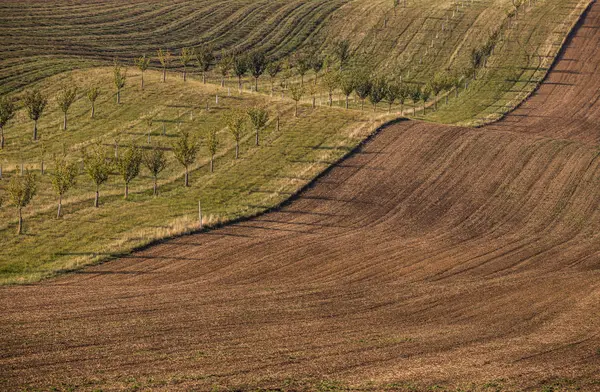 Ladang musim gugur bergelombang di Tuscany Moravia, Republik Ceko — Stok Foto