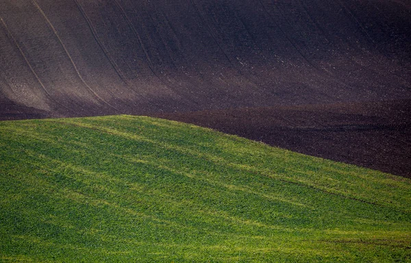 Vågig hösten fält i mähriska Toscana, Tjeckien — Stockfoto