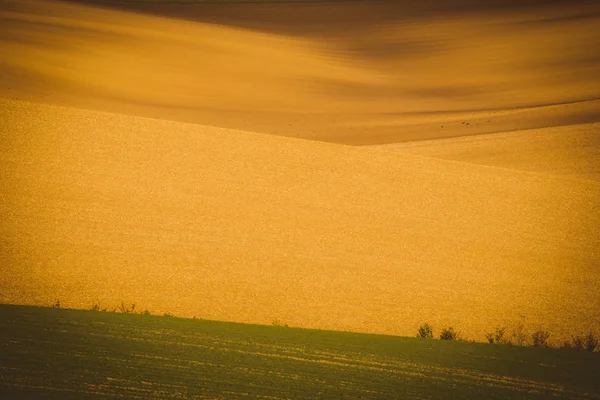 Dalgalı alanları — Stok fotoğraf