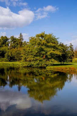 Göl ve ağaçlar Lednice castle Park