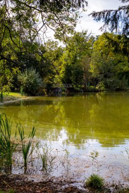 Göl ve ağaçlar Lednice castle Park