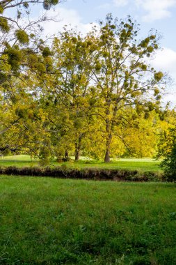 Pitoresk castle park, Lednice Kalesi