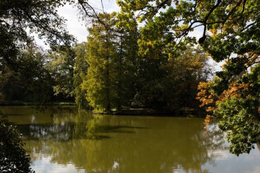 Göl ve ağaçlar Lednice castle Park