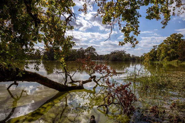 Sjön och träd i Lednice slottspark — Stockfoto