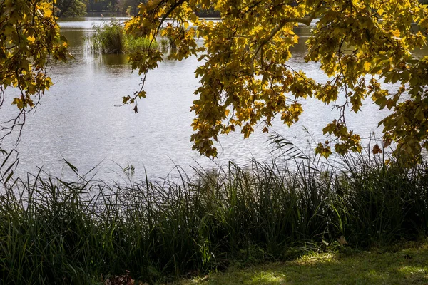 Romantyczny park angielski, zamku Lednice — Zdjęcie stockowe