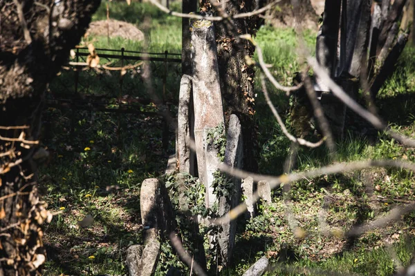 Eski Yahudi Mezarlığı — Stok fotoğraf