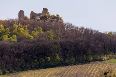 Kale bir tepede harabe.