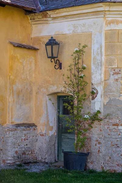 문과 꽃이 있는 오래된 집 — 스톡 사진