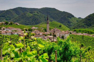 Santo Stefano köyü üzüm bağlarıyla çevrili.