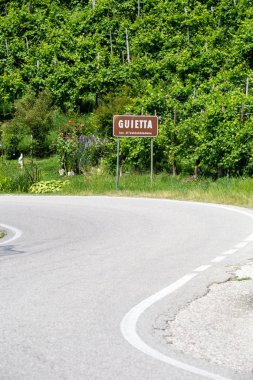 Prosecco şarap bölgesinde üzüm bağları arasındaki yol