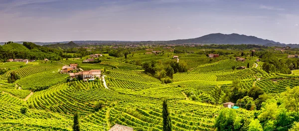 Valdobbiadene çevresindeki üzüm bağı ilçesipanoraması