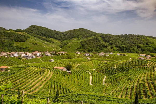Panorama del condado de viñedos alrededor de Valdobbiadene —  Fotos de Stock