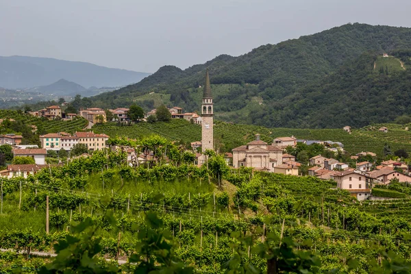 Santo Stefano village surrounded by vineyards Royalty Free Stock Images