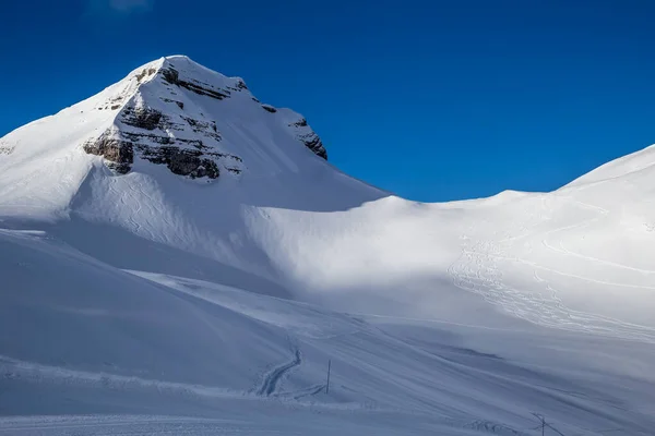 Pintura esquiadores em neve em pó — Fotografia de Stock