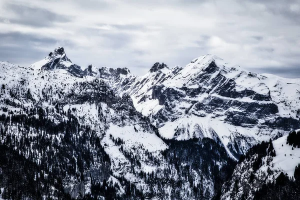 Panorama de invierno Alpes nevados —  Fotos de Stock