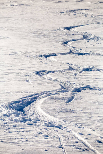 Живопись в снегу, арки лыжников в порошковом снегу
