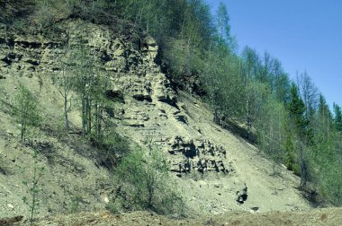 Güneşli bir günde yeşil ağaçlarla dik yamaçlarda.
