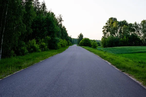 Asphaltierte Straße Geht Die Ferne Und Klarer Himmel Waldnähe — Stockfoto