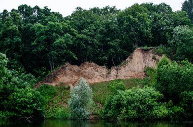 Nehrin üzerindeki dik kıyı. Orman nehrin yüksek bir kıyısında yetişir.