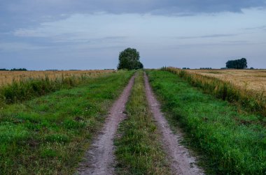 Gün doğarken yerleşim yerleri arasındaki çamurlu kayalık yol