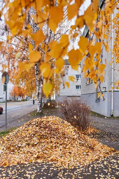 Pile of leaves on the city street