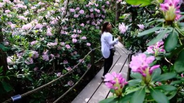 Rhododendrons Parkı 'nda yürüyen bir kadın. Finlandiya 'nın Helsinki şehrinin en popüler ve en güzel yerlerinden biridir..